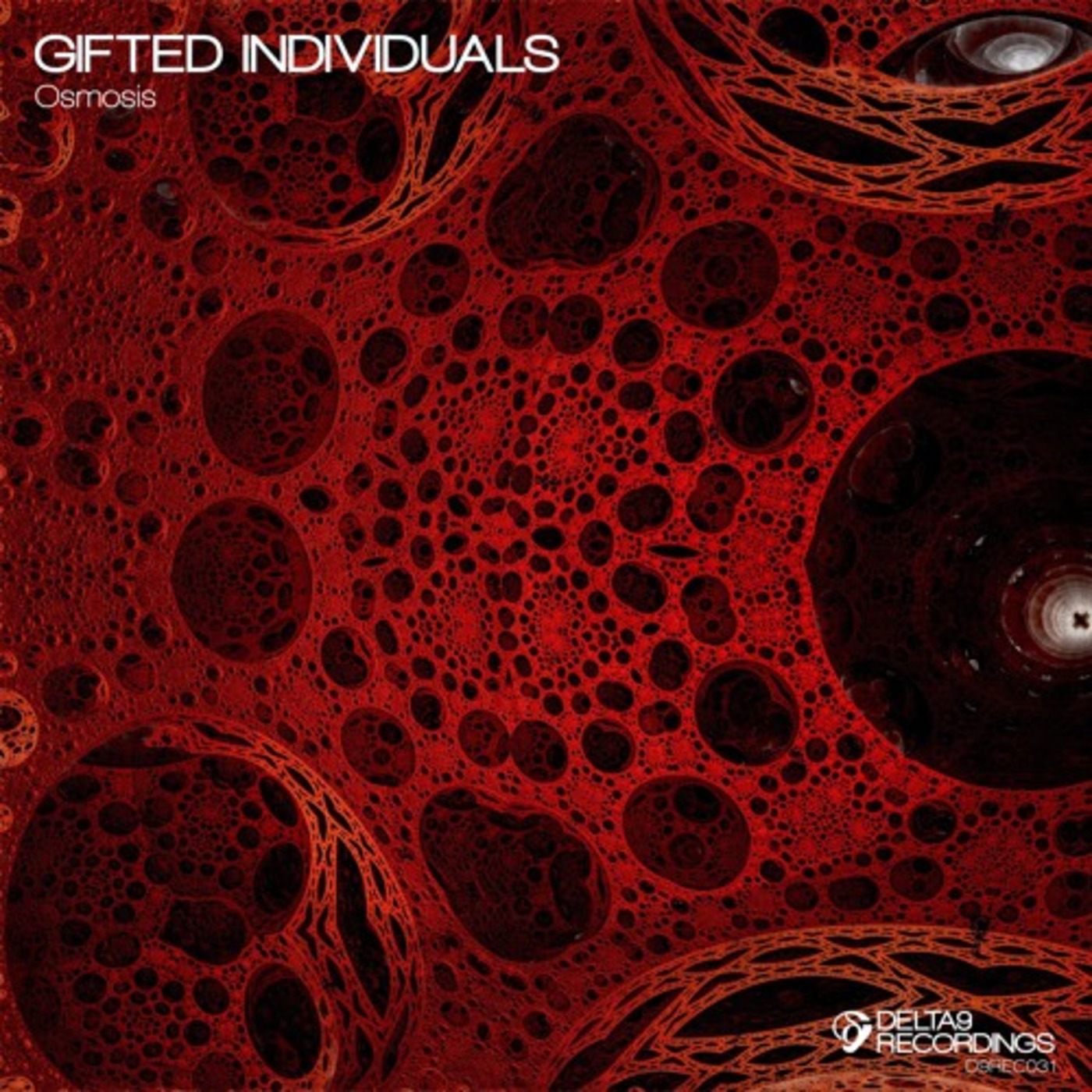 OUT NOW - Gifted Individuals - Osmosis EP [D9REC031]