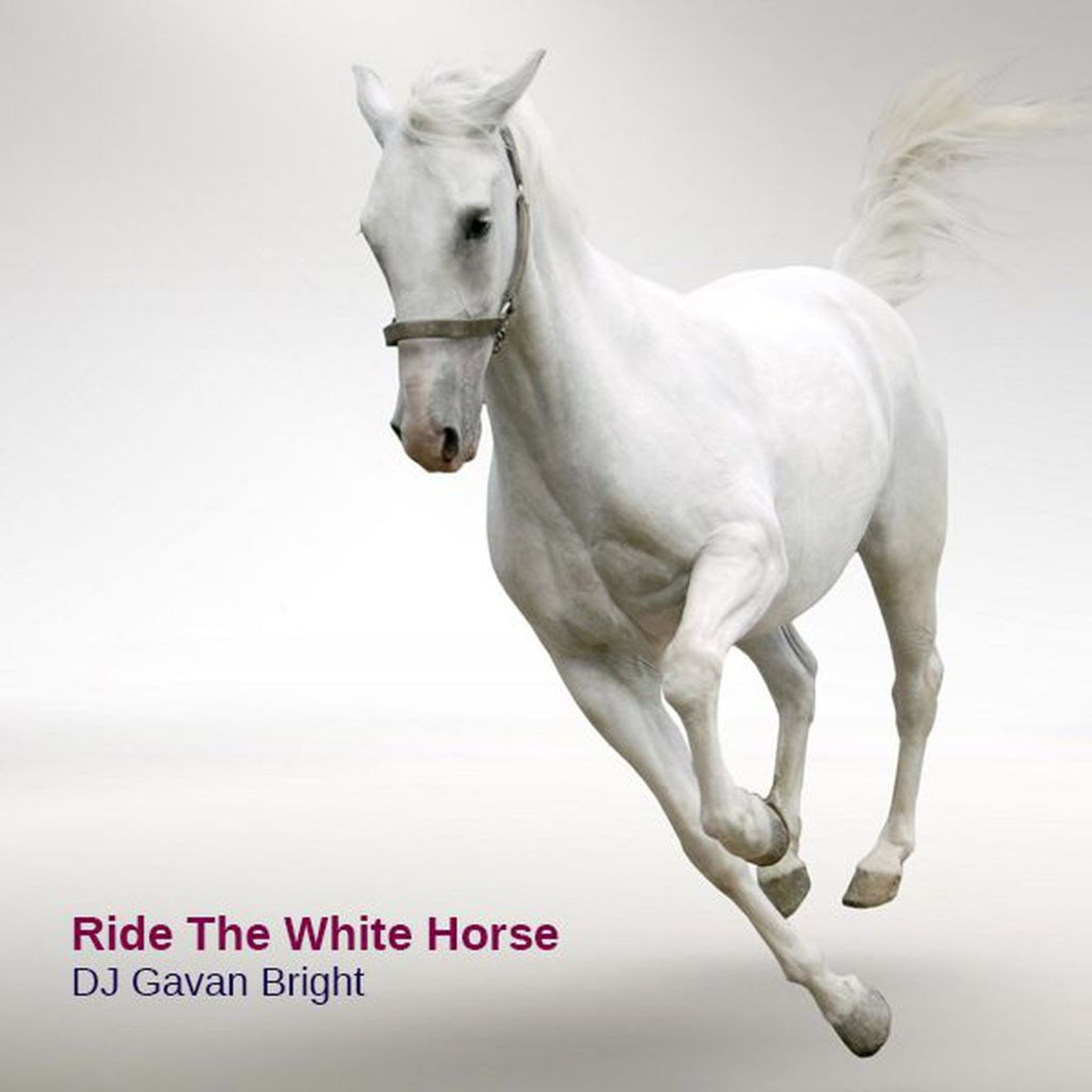 Ride The White Horse