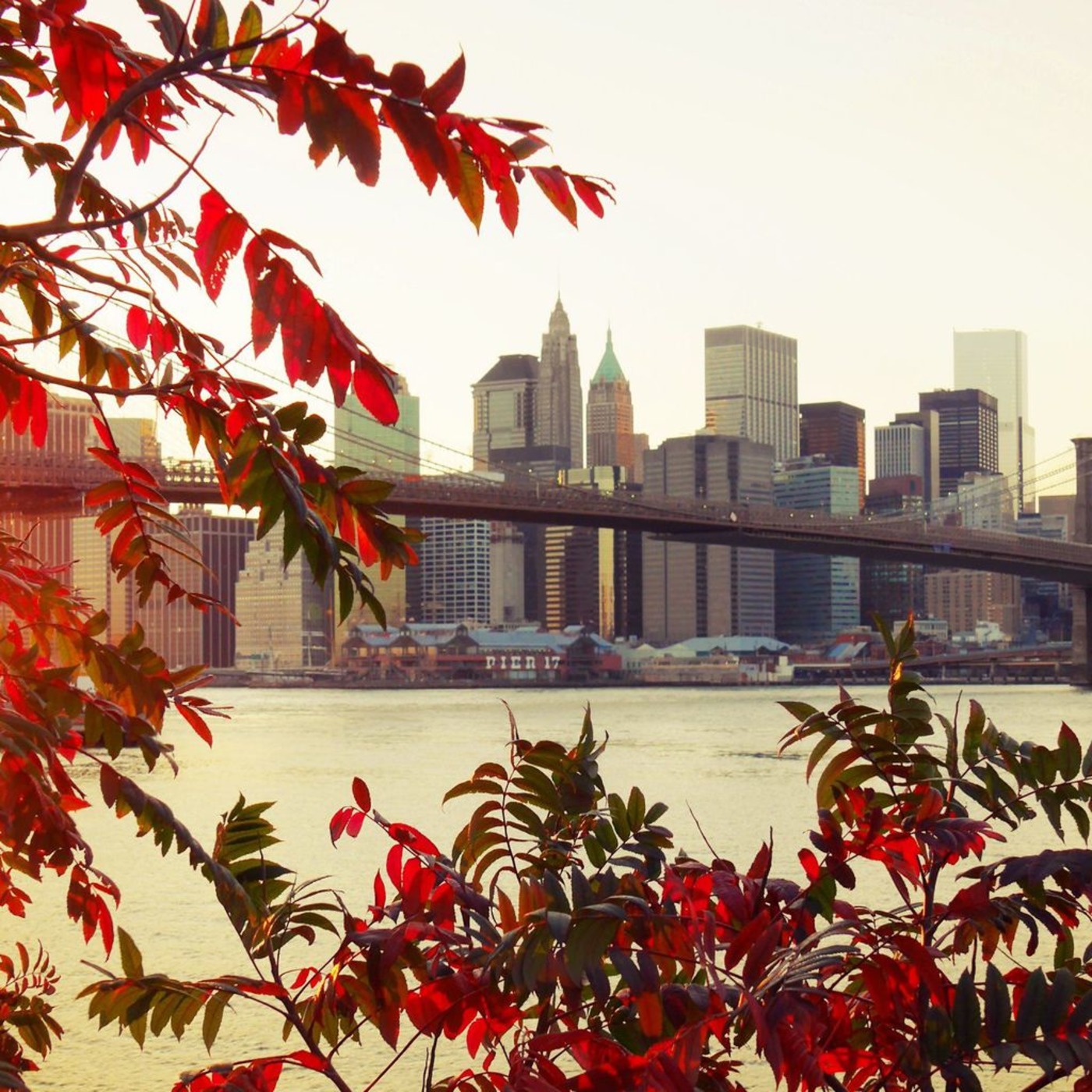#Brooklyn Soulful Day