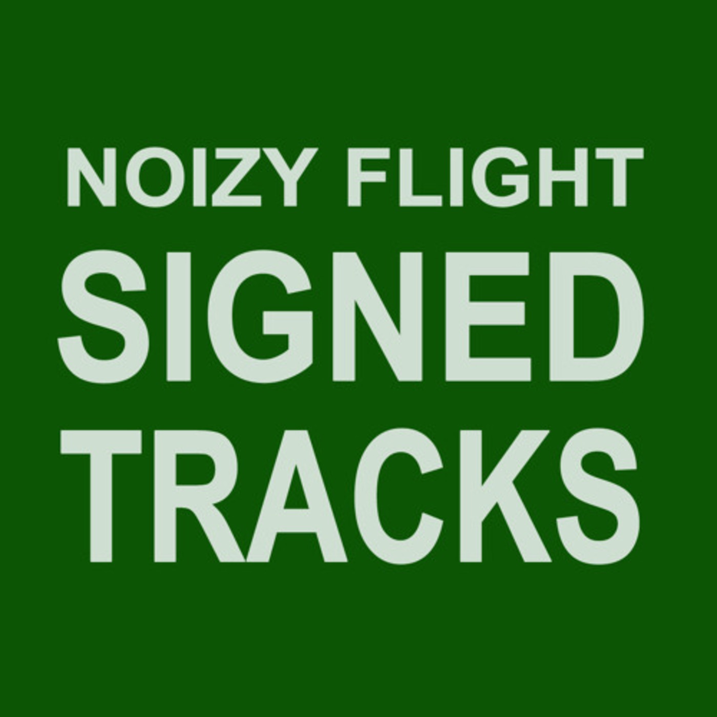 RELEASED TRACKS by NOIZY FLIGHT