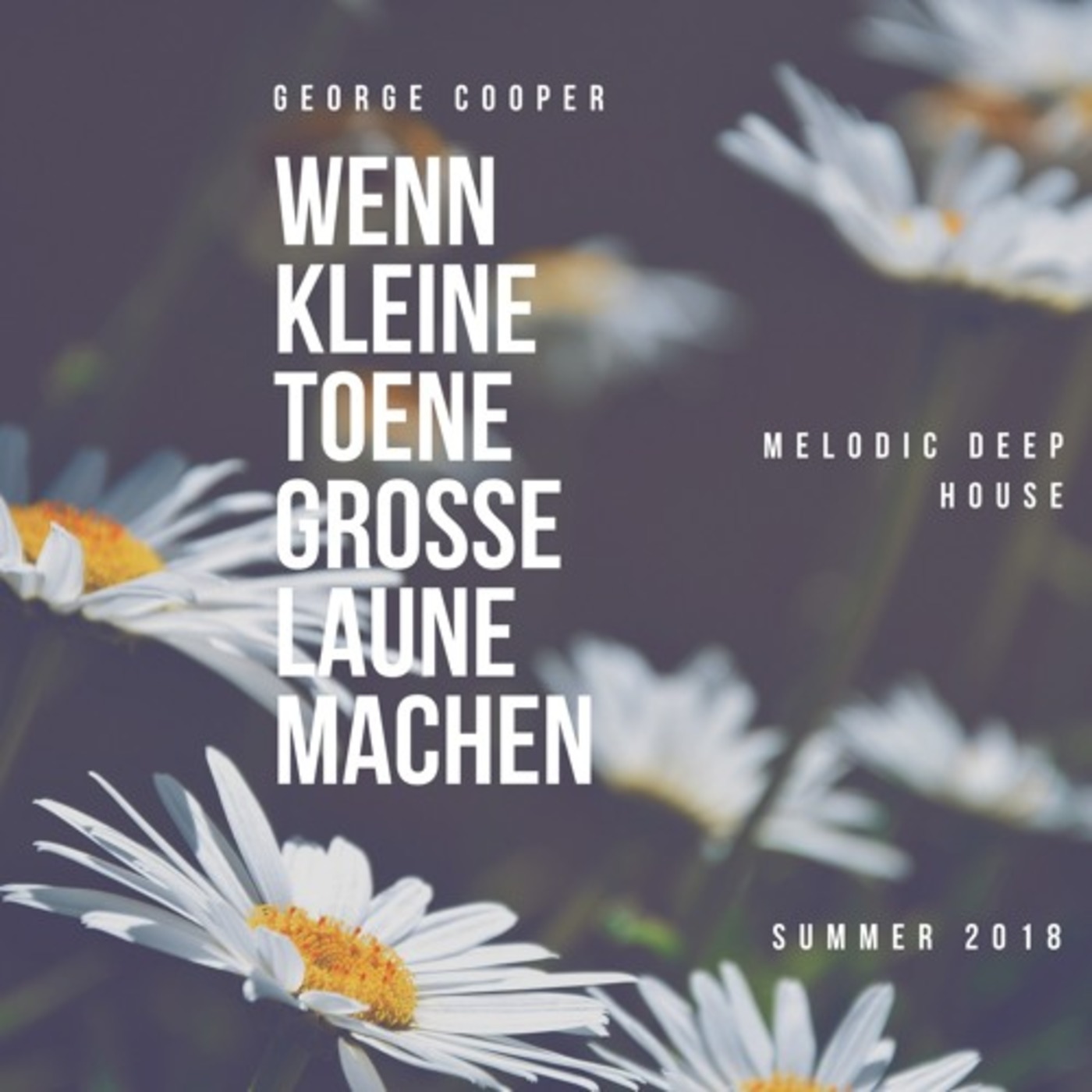 wenn kleine Toene Grosse Laune machen - Summer 2k18