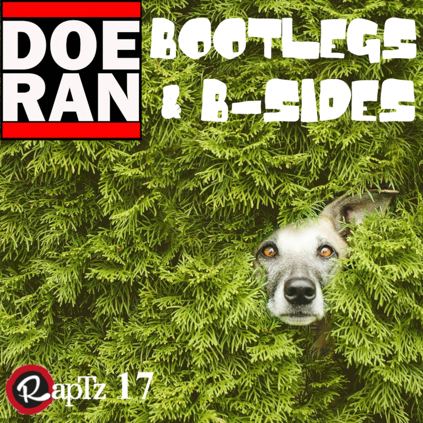 Bootlegs & B-Sides - RapTz Radio Mix #17