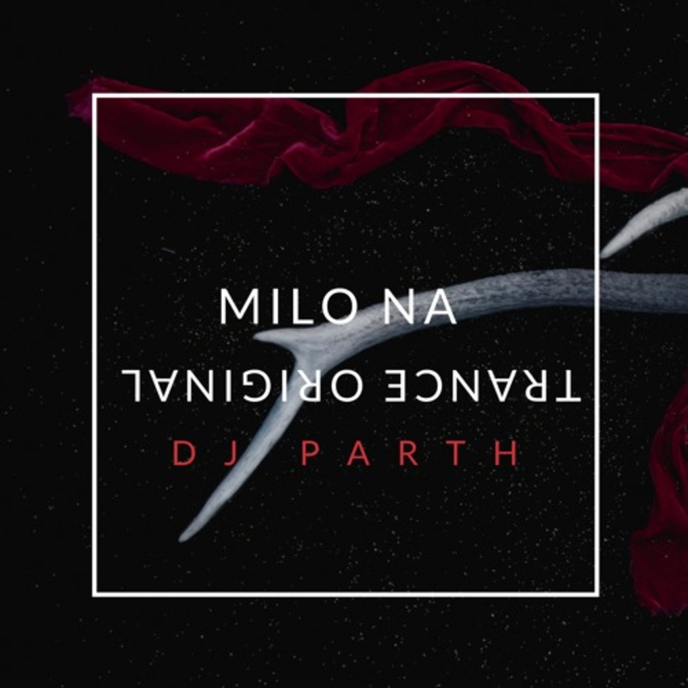 DJ PARTH