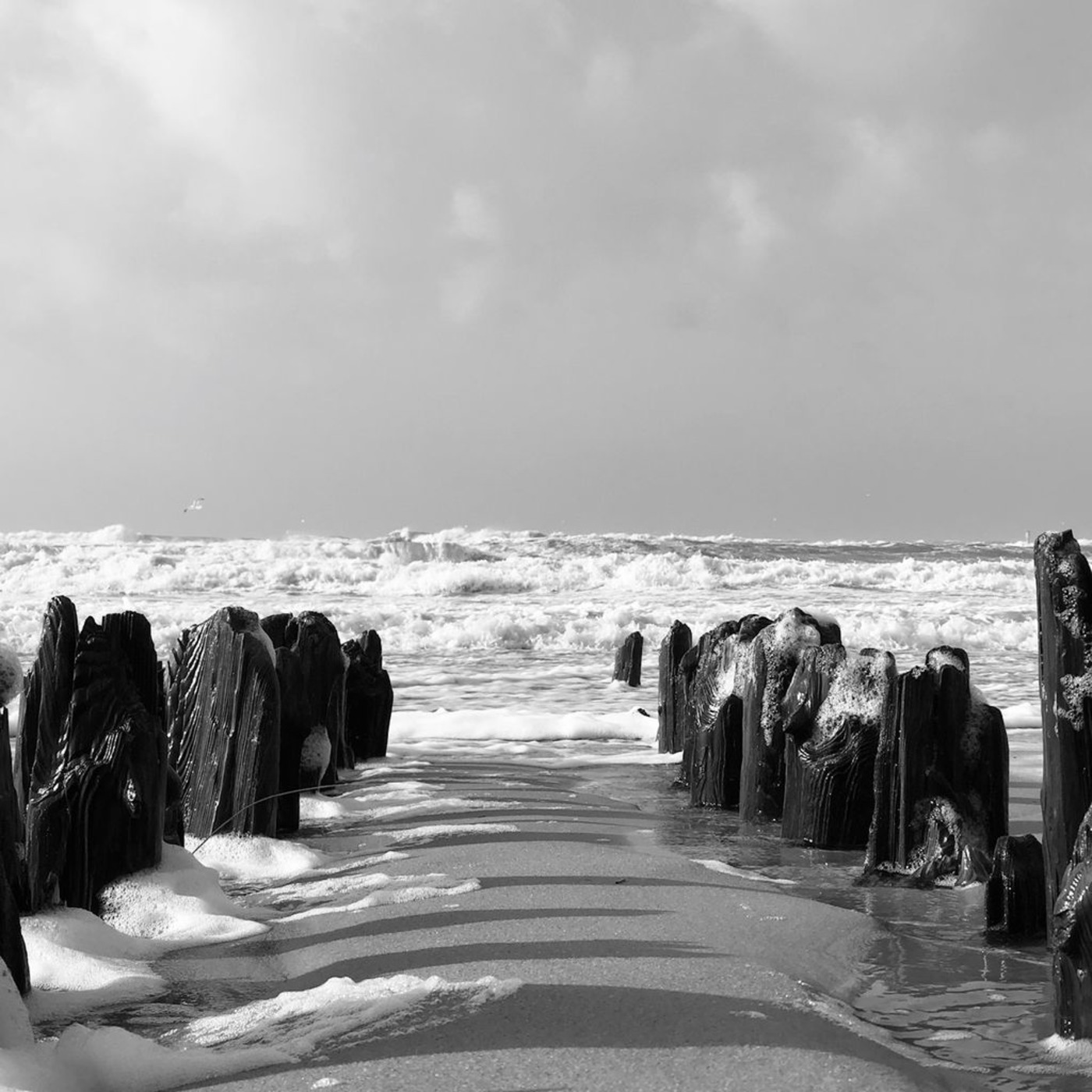 RELAXED DANCE ON THE COLD BEACH