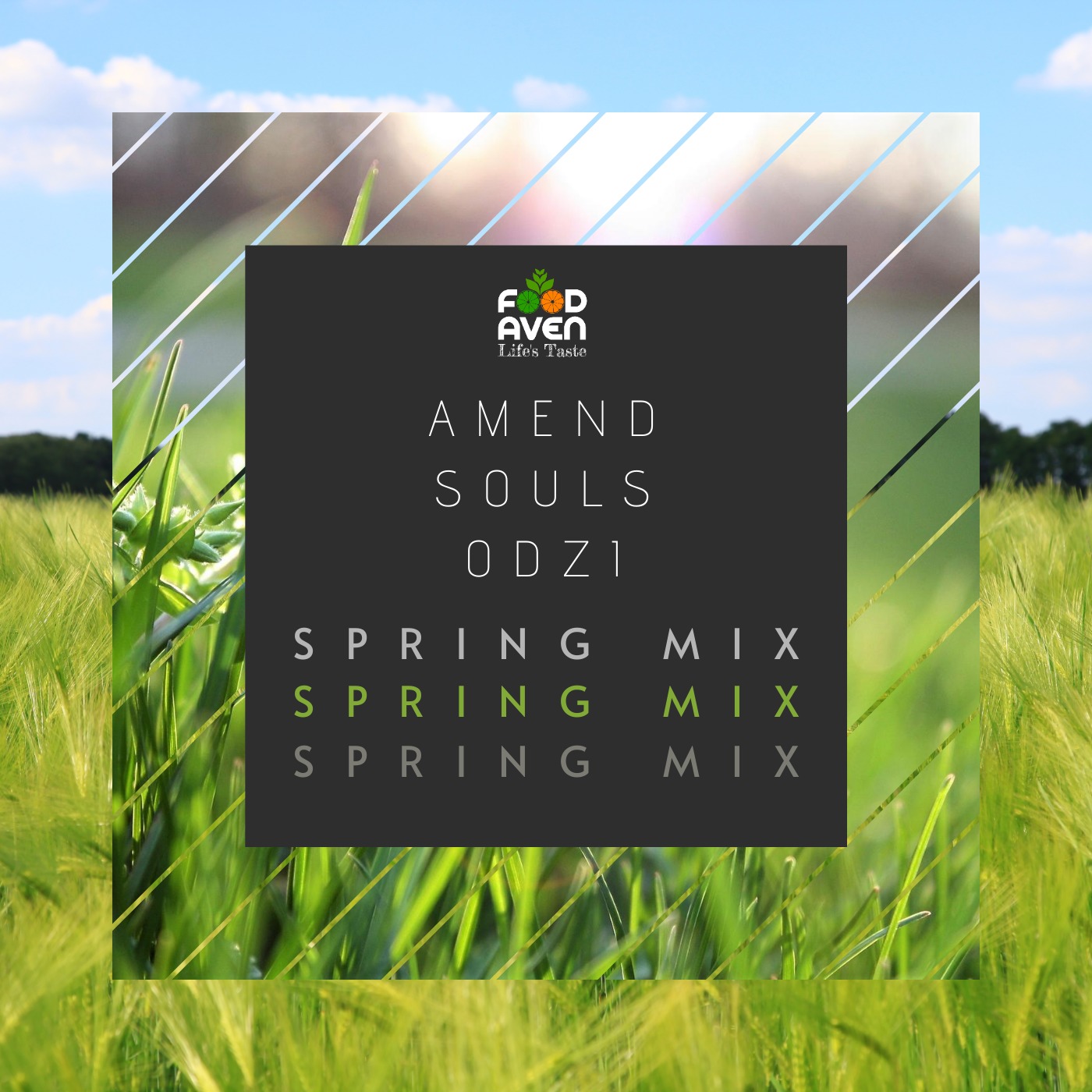 Amend Souls Odzi Birthday Mix