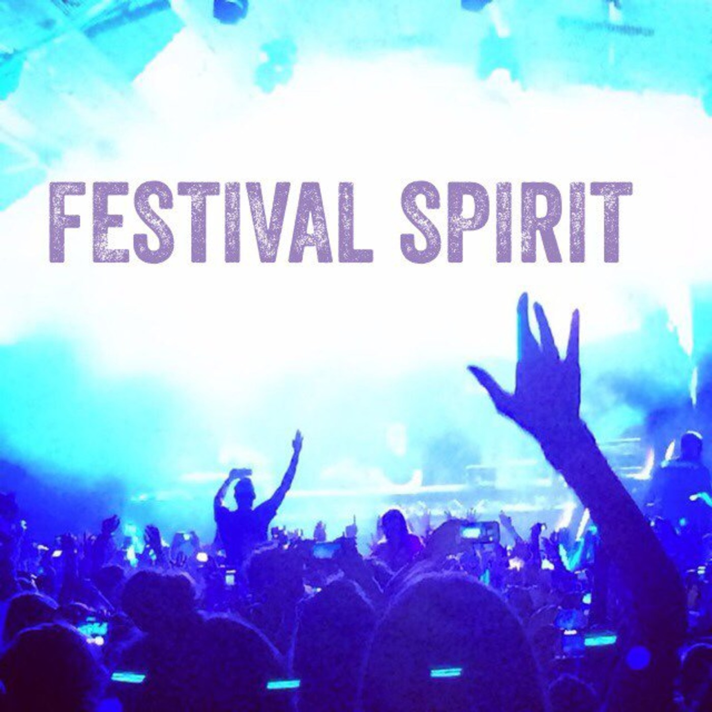 Festival Spirit Vol. 1.2014