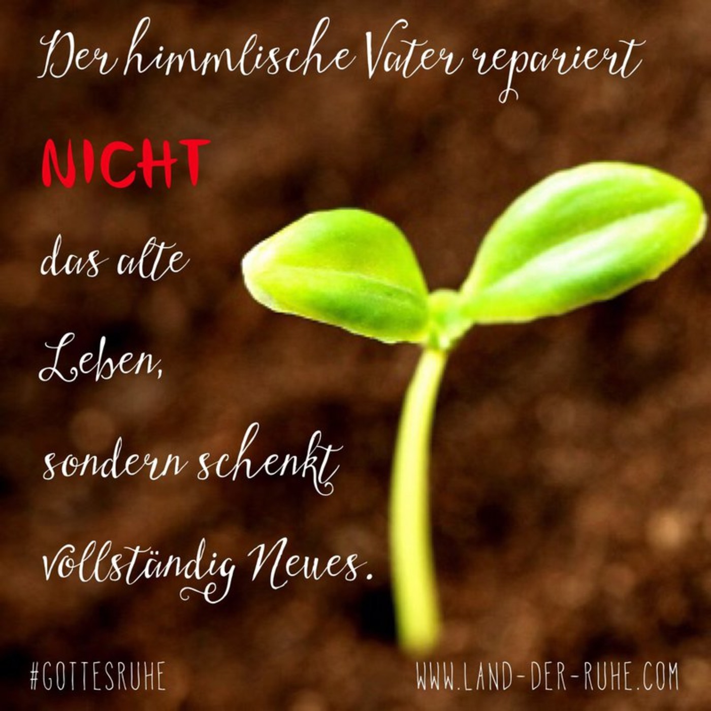 Entdecke den neuen Bund mit Jesus [30.Sept.2014]