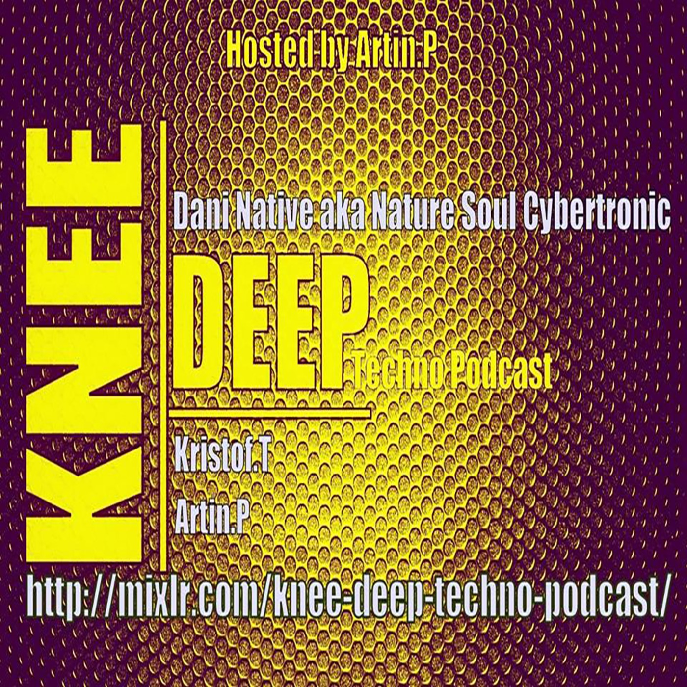 KNEE DEEP Techno Podcast Hosted by Artin.P