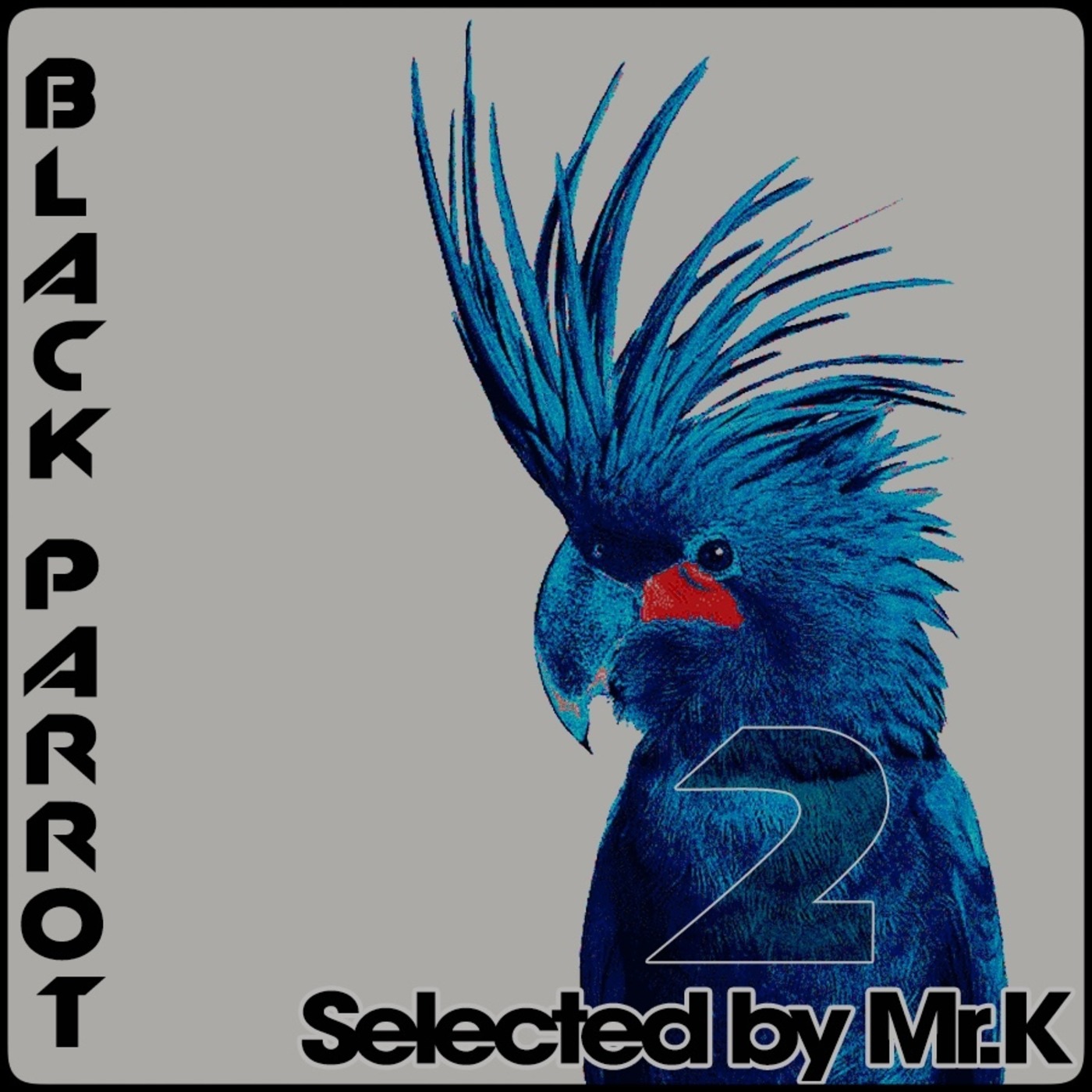 Black Parrot vol.2 - Selected by Mr.K