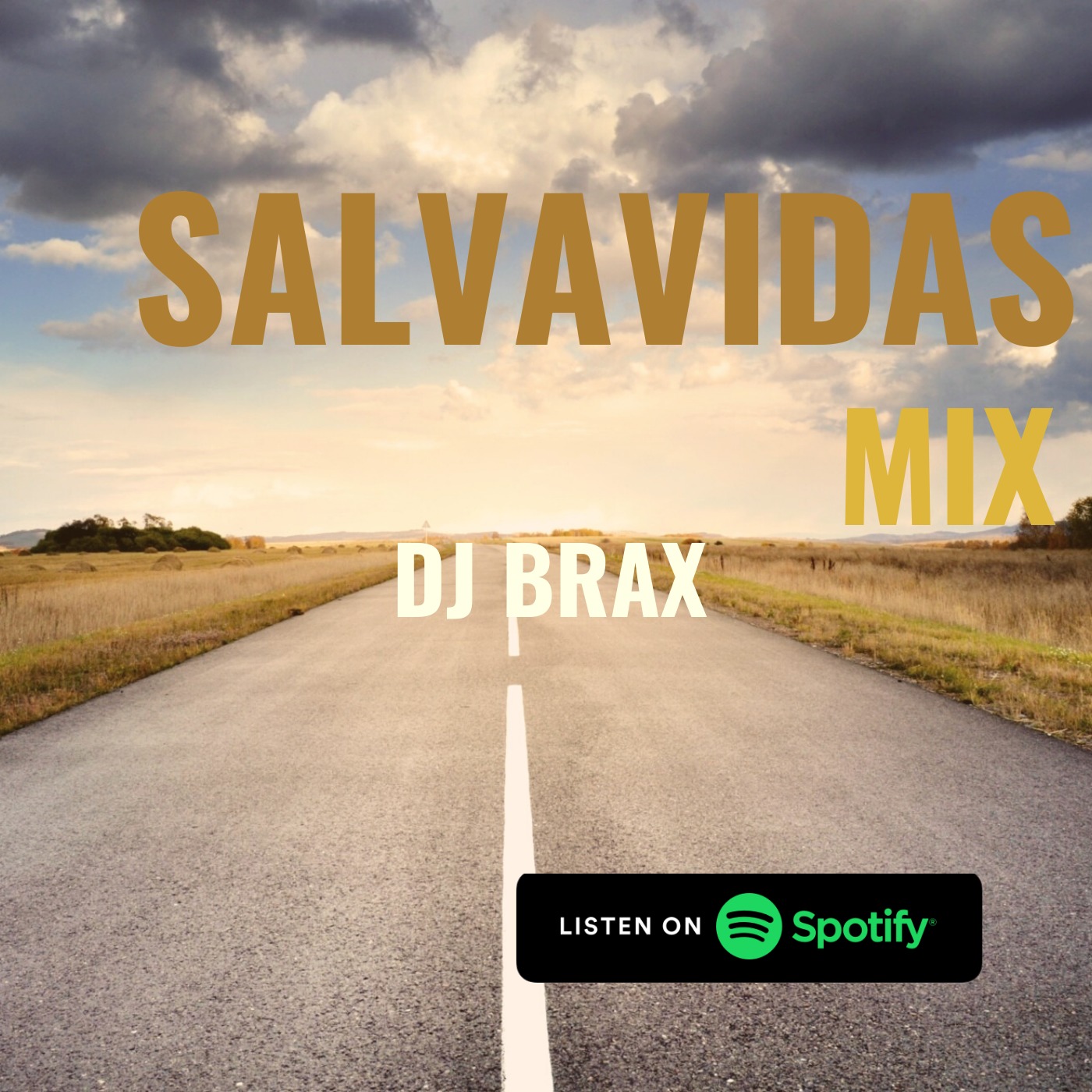 Salvavidas Mix (Latin) @ DJ Brax