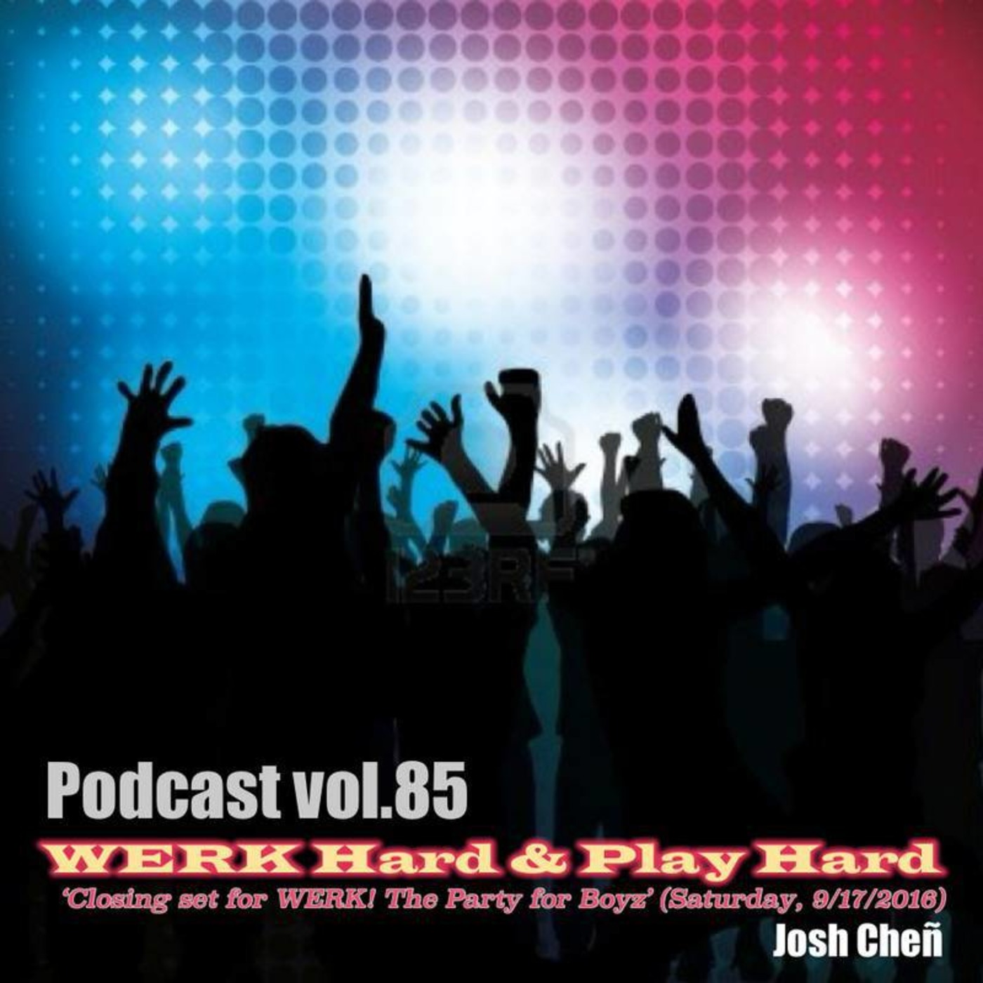 Podcast vol.85 - WERK Hard & Play Hard (Closing set for WERK! The Party for Boyz 9 17)