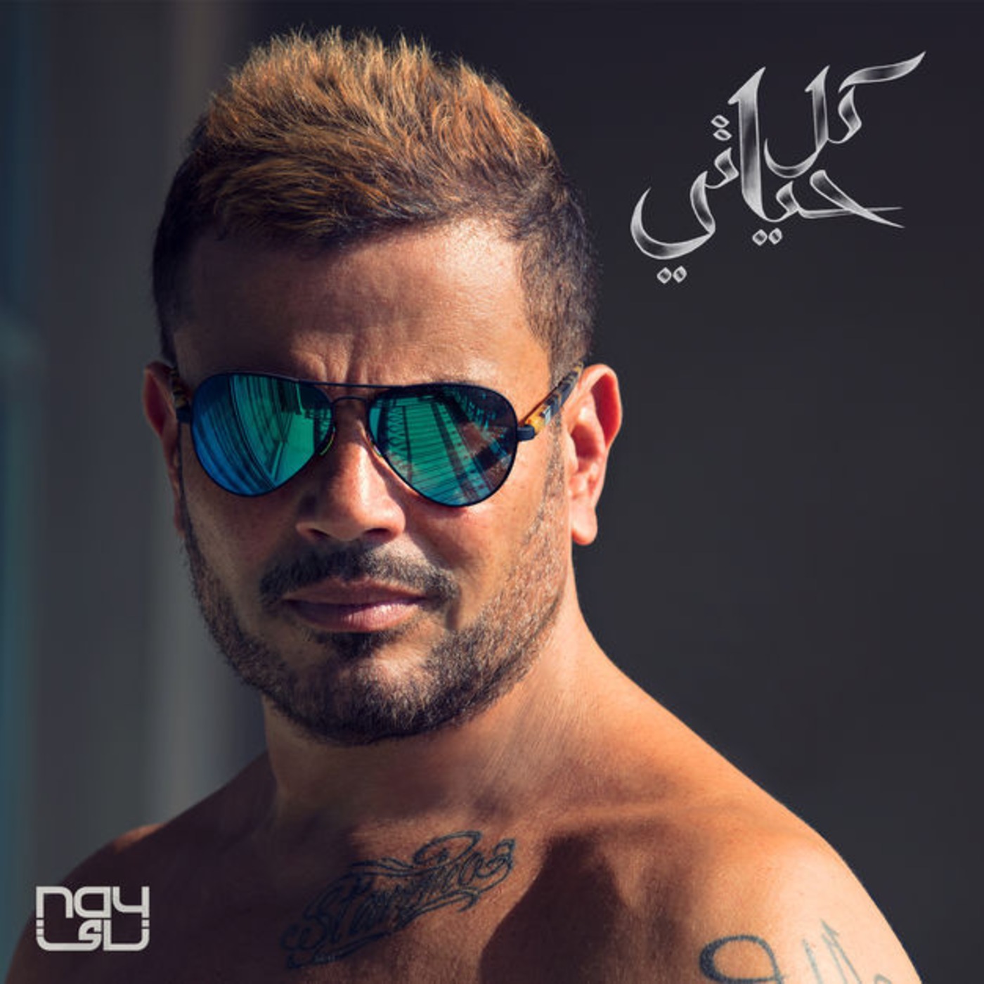 amr diab