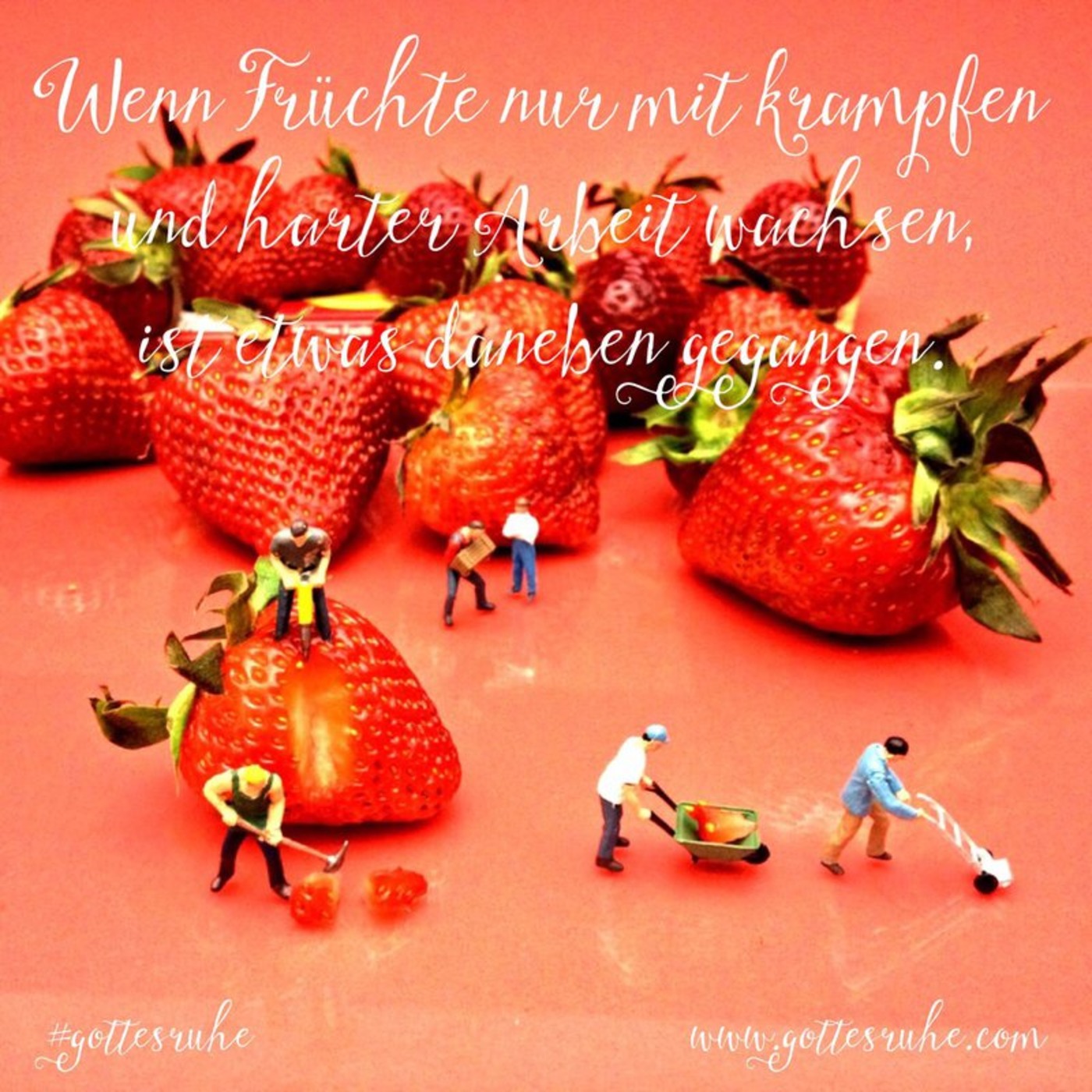 Das Krampfen der Weinreben (m.chinesischer Übersetzung) [14. Juni 2015]